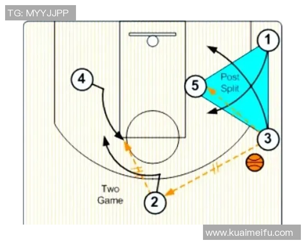 广州排球队的战术演变与球员转换深度解析 广州排球队的战术演变与球员转换深度解析