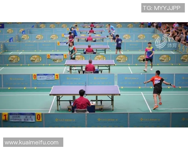 成都乒乓球队的节奏揭秘与深度分析：乒乓球运动的魅力与技艺探讨