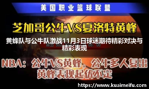 黄蜂队与公牛队激战11月3日球迷期待精彩对决与精彩表现